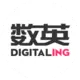 <strong>数英网</strong>