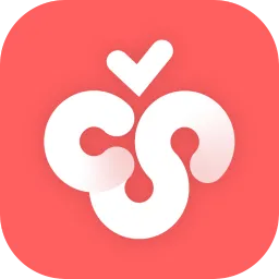 <strong>Cherry Studio</strong>