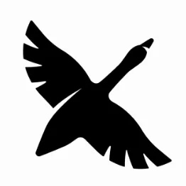 <strong>CodeName Goose</strong>