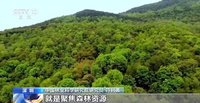 全国人工智能应用场景创新挑战赛结束13个项目获特等奖