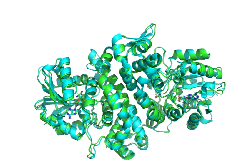 ​MIT研究团队推开源AI模型Boltz-1，推动生物分子结构预测