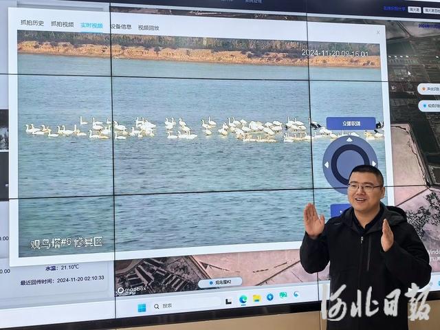 鸟儿报到，AI知晓