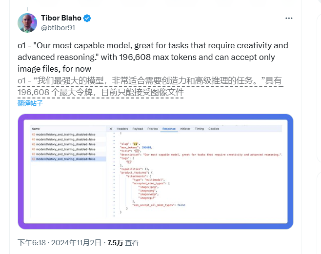 ​OpenAI完整版o1模型曝光：能力超强可处理20万个token